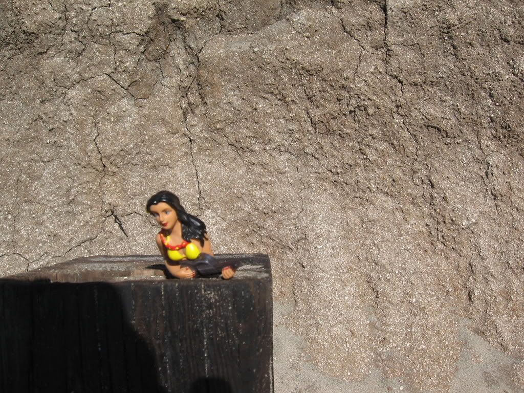 Photo Sharing and Video Hosting at Photobucket