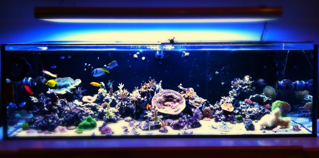 5e98571a-dadd-4e7a-8b91-7e5c9da90ee4_zps