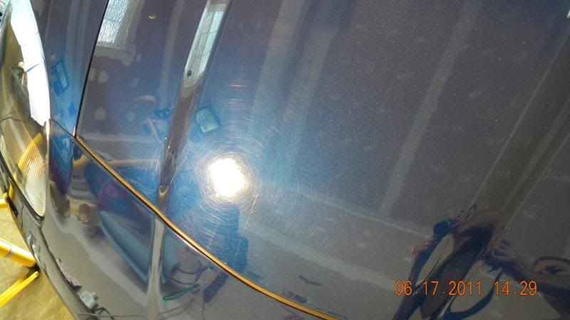 DSCN0613.jpg