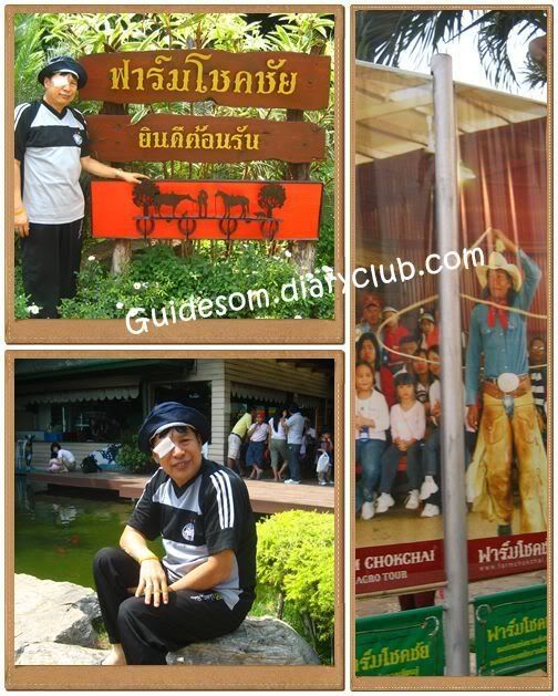 10 February 2008 พาพ่อเที่ยวฟาร์ม ชคชัย