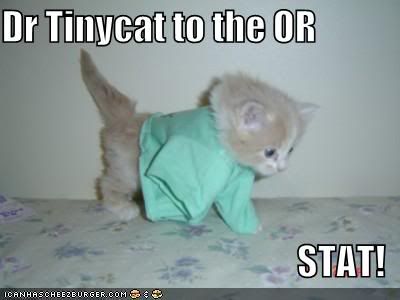 [Image: funny-pictures-kitten-doc.jpg]