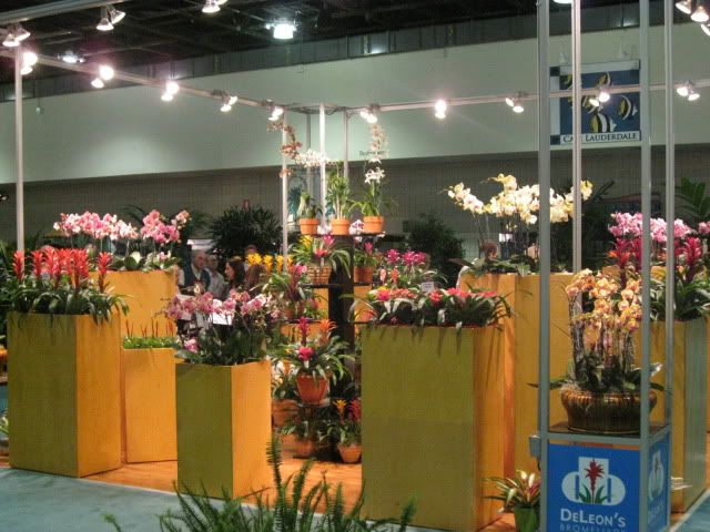 img_4312.jpg