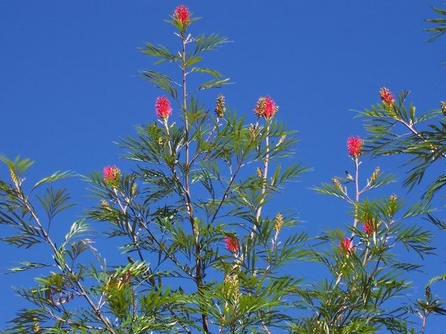 8f06.jpg
