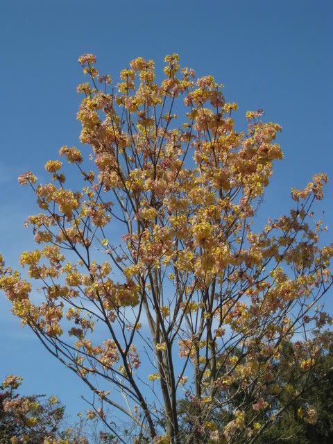 img_1545.jpg