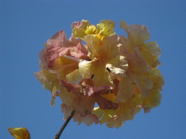 img_1548.jpg