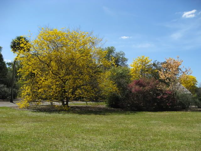 img_1550.jpg