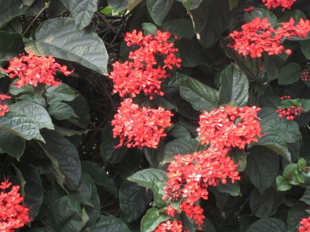 img_1327_00.jpg