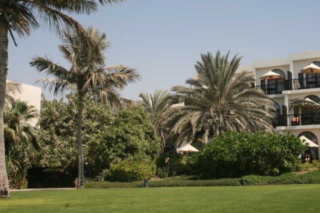 DubaiPlants0115.jpg