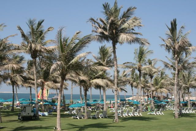 DubaiPlants0209.jpg