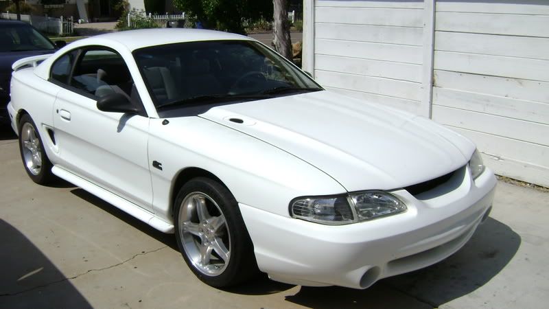 MustangPics004.jpg