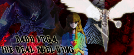 VEGA-banner.png