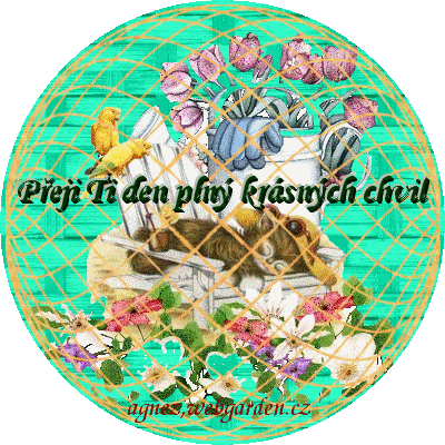 Koule100.gif Hezk den image by Agnezlili Koule100.gif Hezk den image by Agnezlili