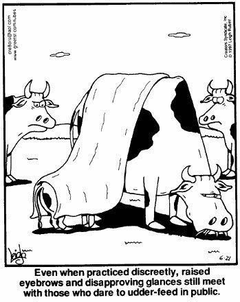 udder-feeding.jpg