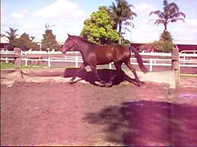 http://i215.photobucket.com/albums/cc91/ccmattyjayde/m10.jpg