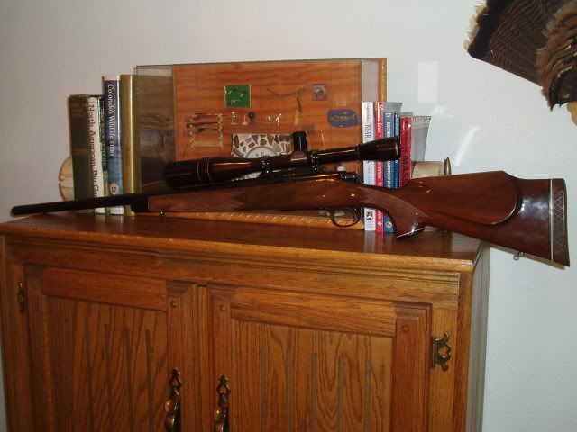 GUNS2008001.jpg