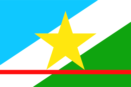 Bandeira de Roraima