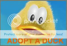 Click me to Adopt a Duck