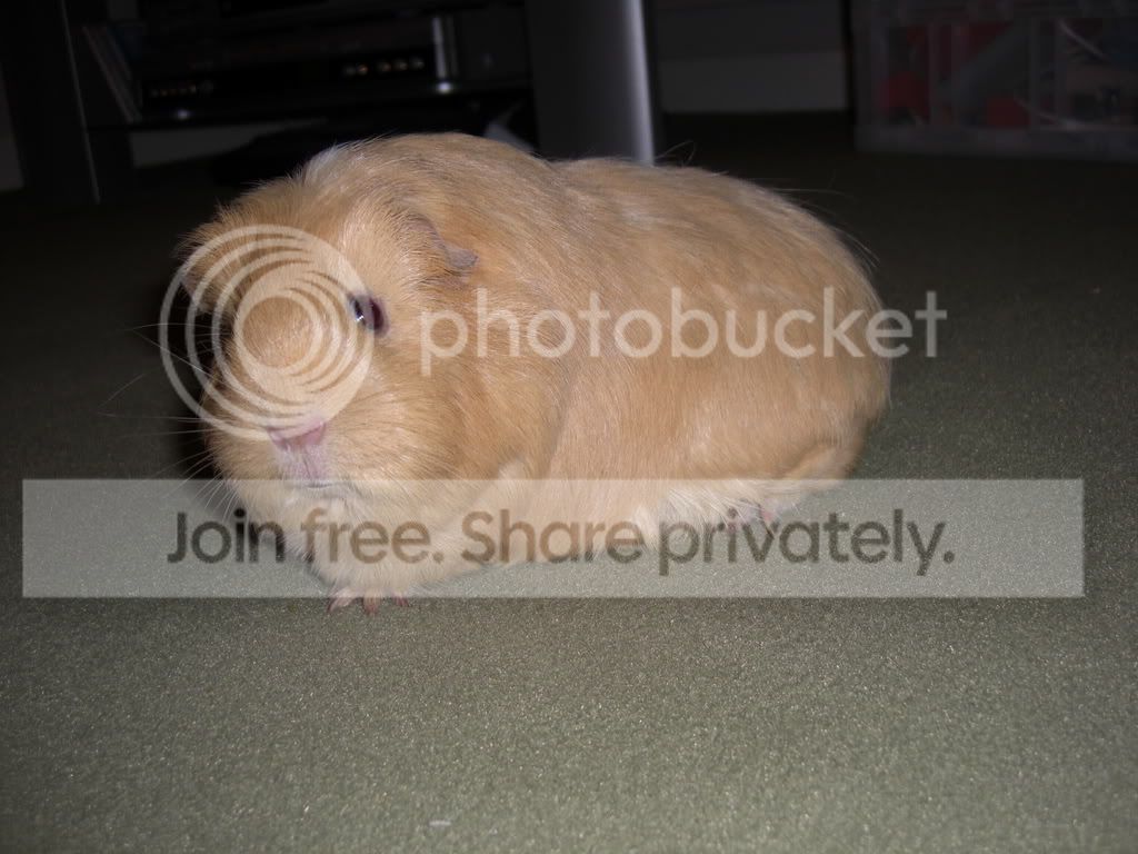 PICT0006.jpg