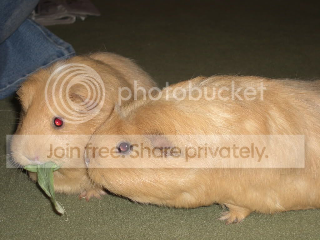 PICT0016.jpg