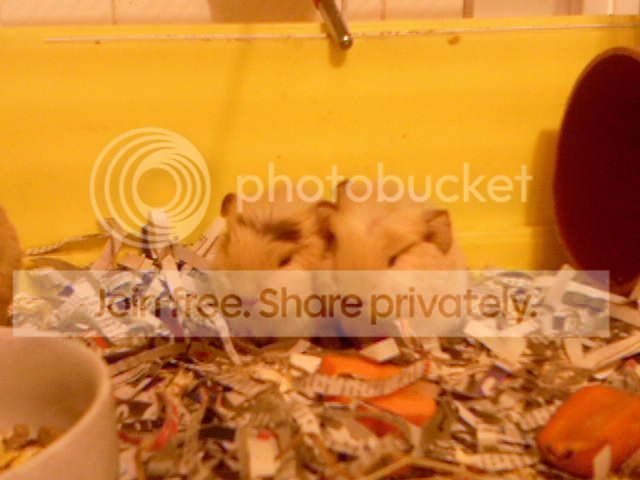 Photo-0116.jpg
