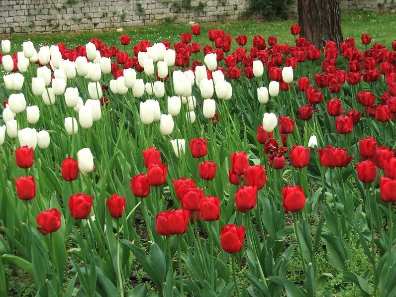 Падуя и Виченца, 16.4.2009