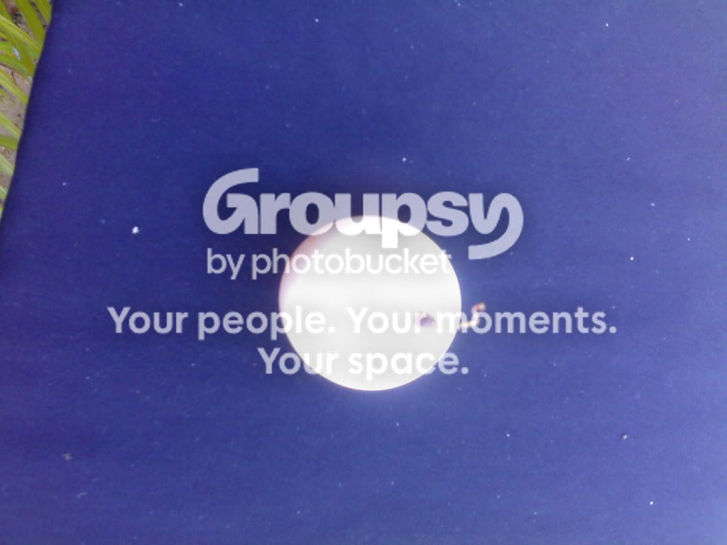 04022009117.jpg