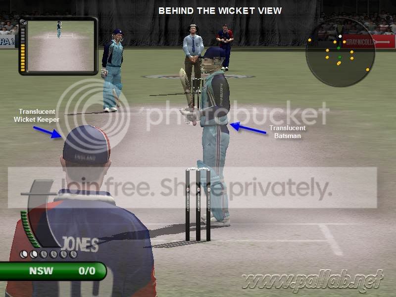 behind_the_wicket.jpg