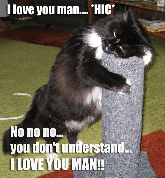 you don't understand!