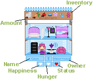 User Image